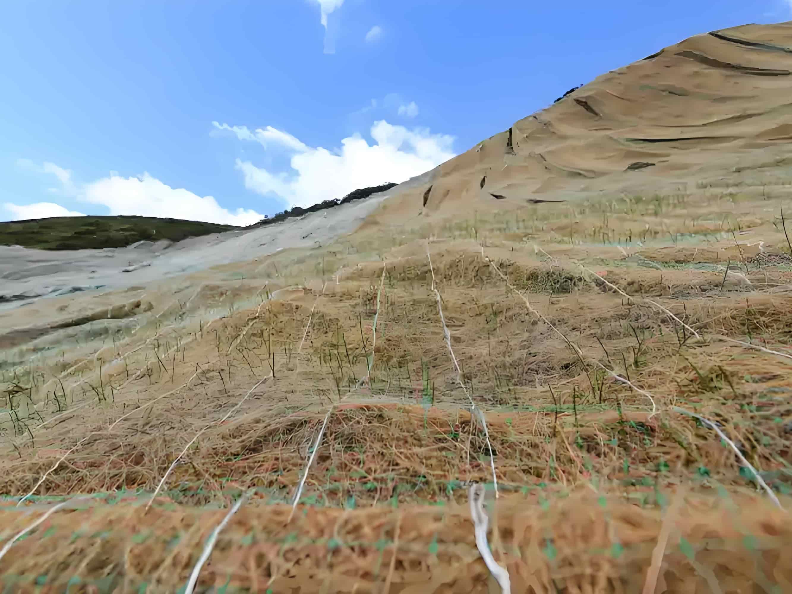 Einführung in die Produktion von Erosionsschutzmatten aus Naturfasern (Kokosfasermatten)