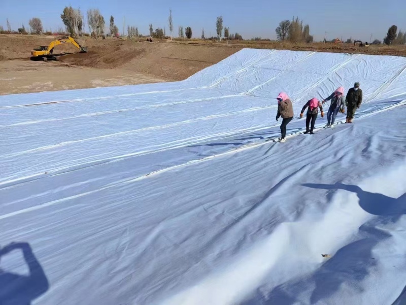 Absetzbeckenprojekt in Sambia