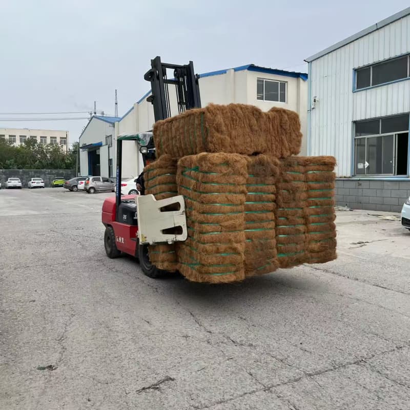 Asian coconut shell fiber