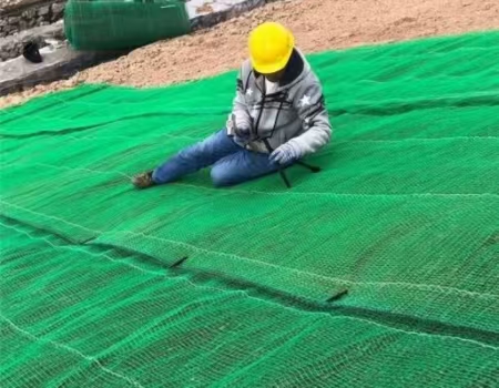 Dreidimensionale Geonetz-Erosionsschutzmatte für die Minenrekultivierung